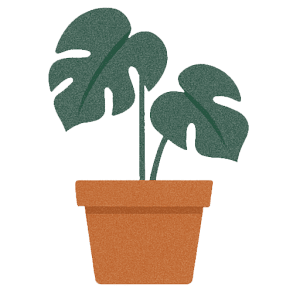 モンステラの無料イラスト素材｜かわいい観葉植物・鉢植え・背景透過PNG