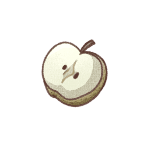 梨の断面を描いたナチュラルなイラスト素材（背景透過PNG）