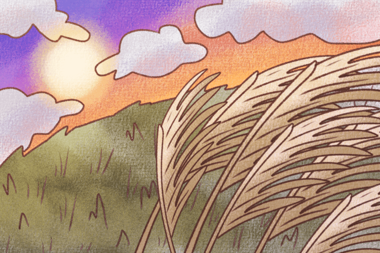 夕暮れに風に揺れるススキのイラスト 背景素材