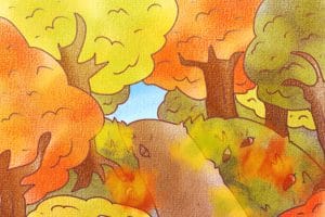 どんぐりと落ち葉が彩る秋の小道イラスト（JPG形式・1350×900）