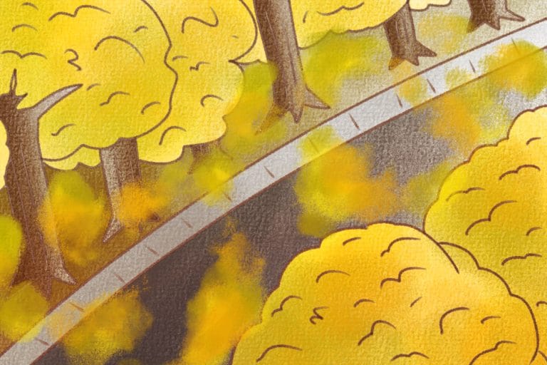 いちょう並木の通学路の秋イラスト(JPG形式・高解像度)