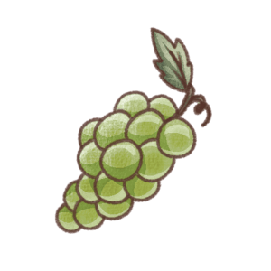 マスカットの手描き風フリーイラスト素材（背景透過PNG）
