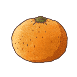丸みのあるミカンが1つ描かれたイラスト。オレンジ色の果皮と小さな点模様があり、手書き風でやさしい雰囲気のデザイン
