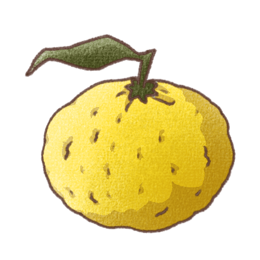 葉のついた丸い黄色のゆずのイラスト。表面の凹凸が表現された手書き風の柑橘フルーツデザイン