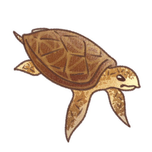 甲羅に模様が入った茶色のウミガメが横向きに泳ぐ様子を描いたイラスト。やわらかい線と優しい色合いの手書き風デザイン