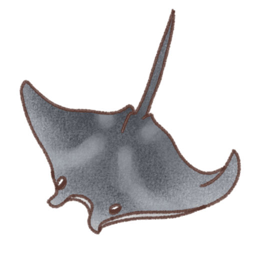 背中に白い曲線とドット模様がある青色のマンタが泳いでいる姿の背景透過イラスト素材。