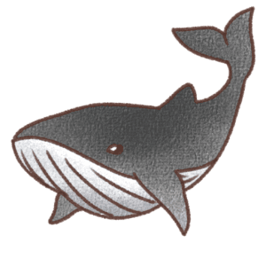 青色の体にお腹の白い線と潮吹きが描かれたクジラの右向きイラスト