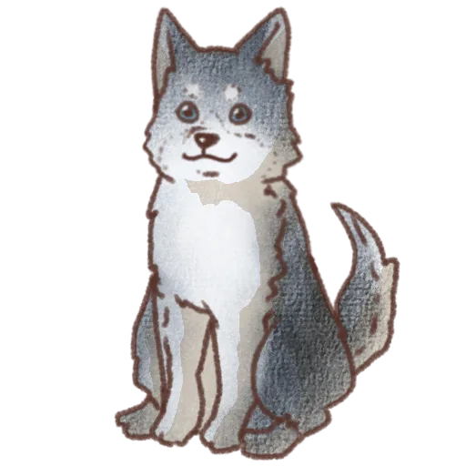 グレーと白色の毛並みに青色の瞳と眉毛のような白い模様が描かれたシベリアンハスキーの正面お座りイラスト